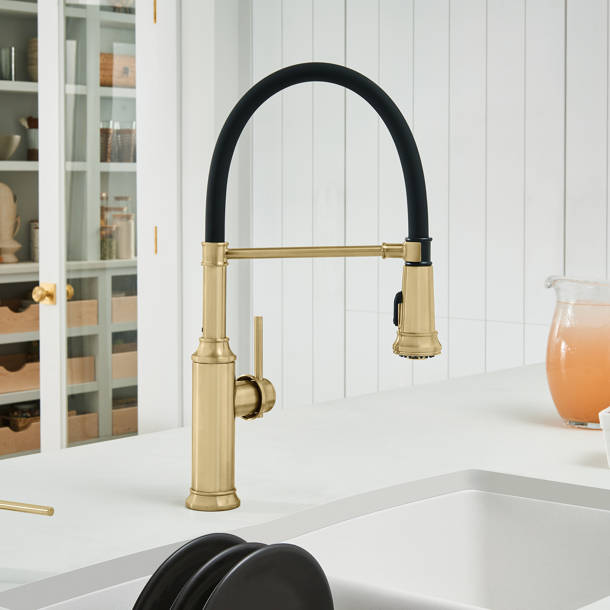 Blanco Empressa PullDown Bridge Faucet & Reviews Wayfair
